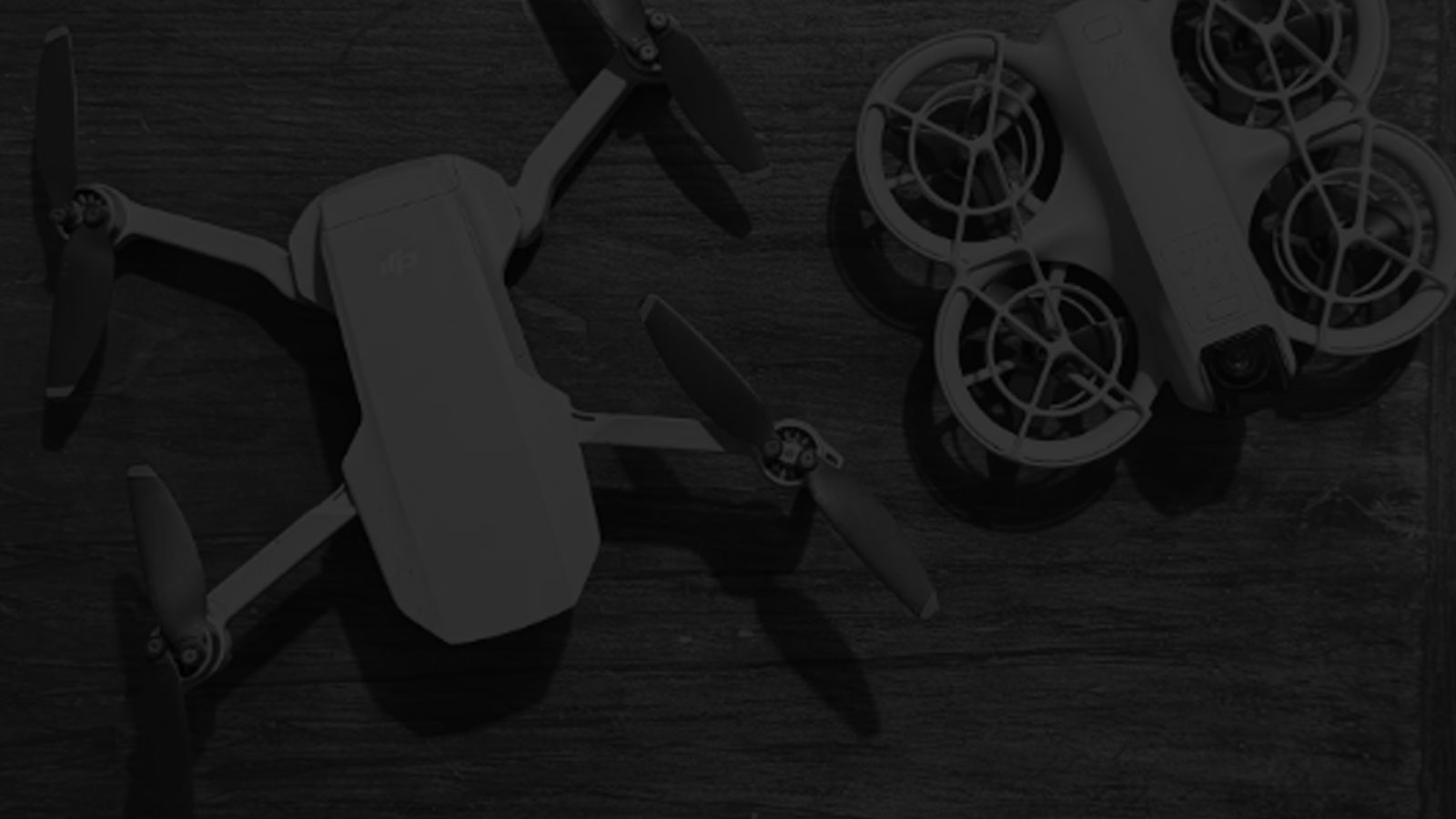 Logo and Brand Identity Design